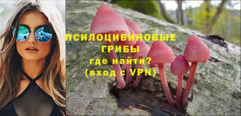 Псилоцибиновые грибы Magic Shrooms Бирюсинск